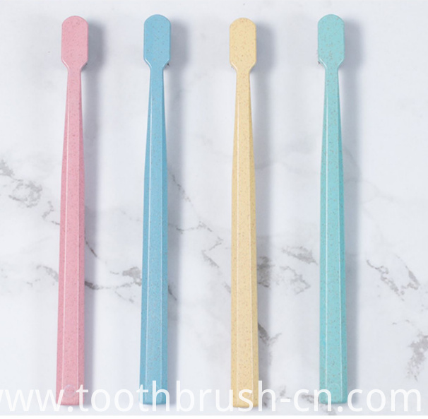 2019 Eco-Friendly Biodegradable Wheat Straw Toothbrush 2019 Eco-Friendly Biodegradable Wheat Straw Toothbrush